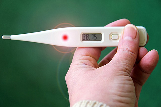 A hand holding thermometer