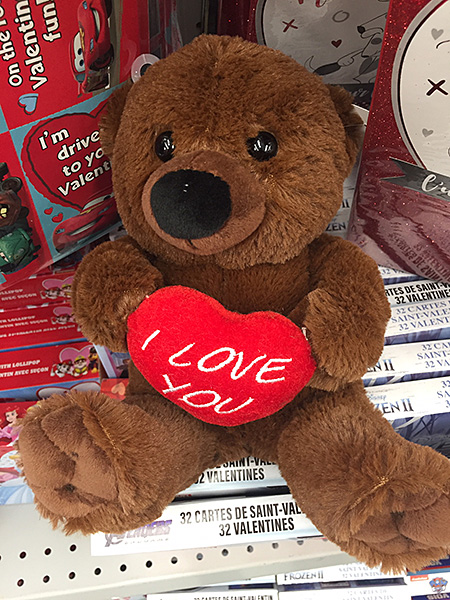 Teddy bear with a message