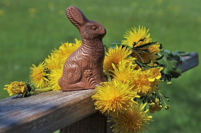 chocolate Easter bunny