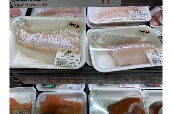 fish in the package